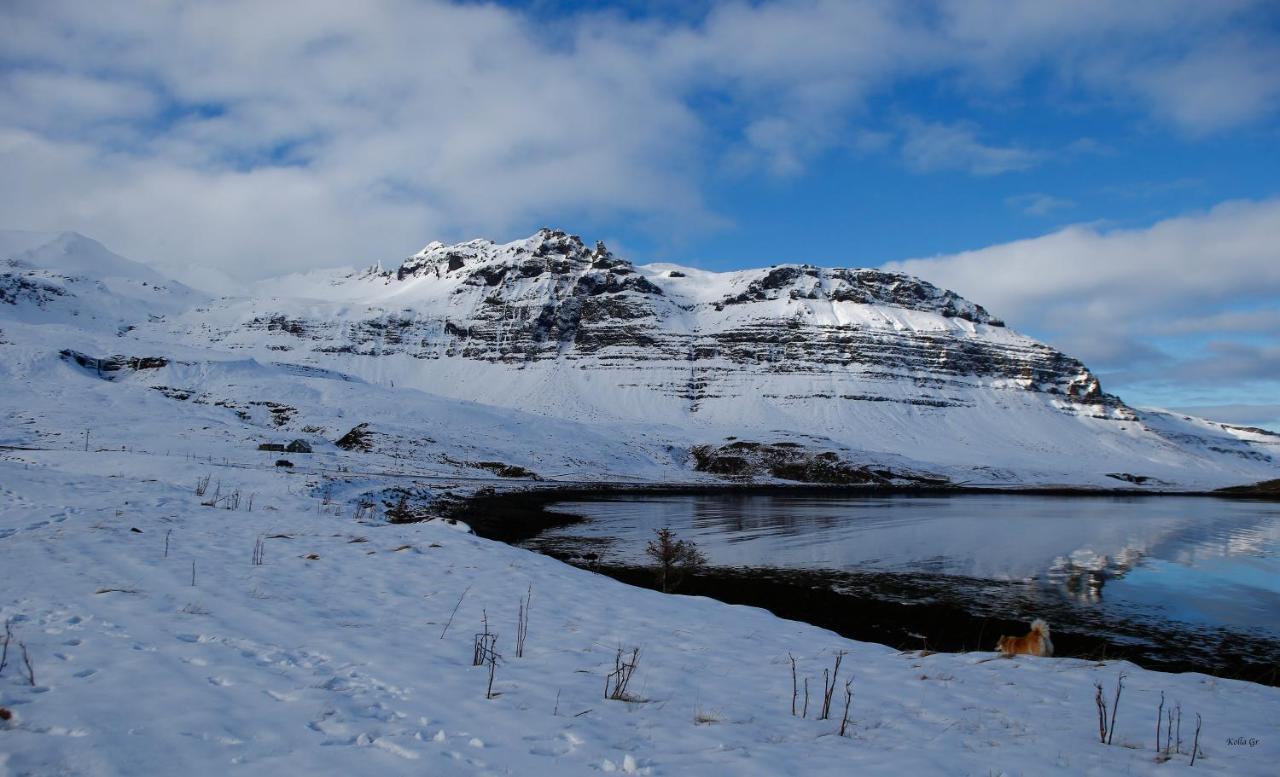 Hellnafell Appartement Grundarfjordur Buitenkant foto